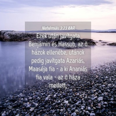 Picture 04 - Nehémiás 3:23 KAR - Ezek után javítgata Benjámin és Hassub, az õ - Bible Verse Picture