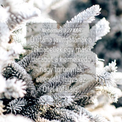 Picture 04 - Nehémiás 3:27 KAR - Õ utána javítgatának a Tékoabeliek egy - Bible Verse Picture