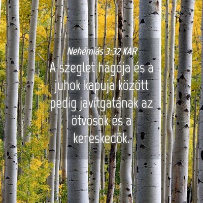 Picture 04 - Nehémiás 3:32 KAR - A szeglet hágója és a juhok kapuja között - Bible Verse Picture