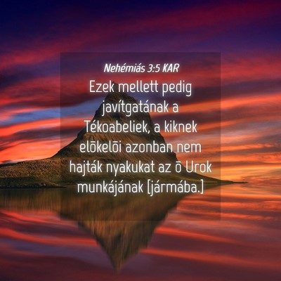 Picture 04 - Nehémiás 3:5 KAR - Ezek mellett pedig javítgatának a Tékoabeliek, - Bible Verse Picture