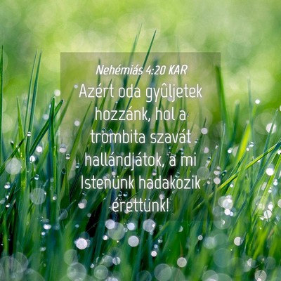 Picture 04 - Nehémiás 4:20 KAR - Azért oda gyûljetek hozzánk, hol a trombita - Bible Verse Picture