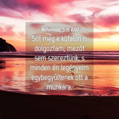 Picture 04 - Nehémiás 5:16 KAR - Sõt még e kõfalon is dolgoztam; mezõt sem - Bible Verse Picture