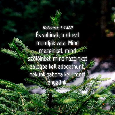 Picture 04 - Nehémiás 5:3 KAR - És valának, a kik ezt mondják vala: Mind - Bible Verse Picture