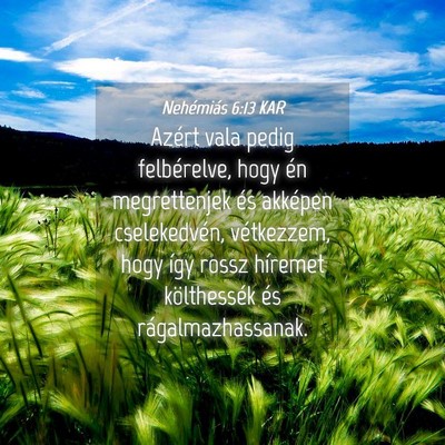 Picture 04 - Nehémiás 6:13 KAR - Azért vala pedig felbérelve, hogy én - Bible Verse Picture