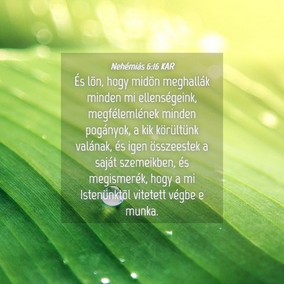 Picture 04 - Nehémiás 6:16 KAR - És lõn, hogy midõn meghallák minden mi - Bible Verse Picture