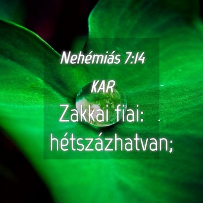 Picture 04 - Nehémiás 7:14 KAR - Zakkai fiai: - Bible Verse Picture