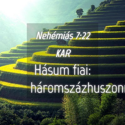 Picture 04 - Nehémiás 7:22 KAR - Hásum fiai: - Bible Verse Picture