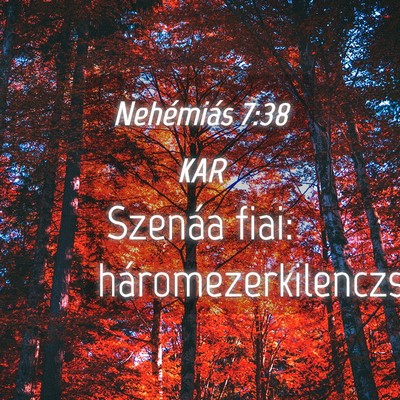 Picture 04 - Nehémiás 7:38 KAR - Szenáa fiai: - Bible Verse Picture