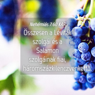 Picture 04 - Nehémiás 7:60 KAR - Összesen a Léviták szolgái és a Salamon - Bible Verse Picture