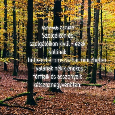 Picture 04 - Nehémiás 7:67 KAR - Szolgáikon és szolgálóikon kivül - ezek - Bible Verse Picture