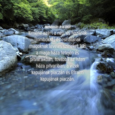 Picture 04 - Nehémiás 8:16 KAR - Kiméne azért a nép, és hozának [lombokat,] - Bible Verse Picture