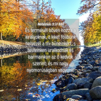 Picture 04 - Nehémiás 9:37 KAR - És termését bõven hozza a királyoknak, a - Bible Verse Picture