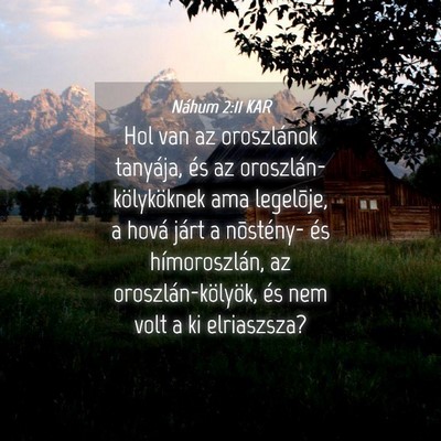 Picture 04 - Náhum 2:11 KAR - Hol van az oroszlánok tanyája, és az - Bible Verse Picture