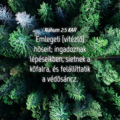 Picture 04 - Náhum 2:5 KAR - Emlegeti [vitézlõ] hõseit; ingadoznak - Bible Verse Picture