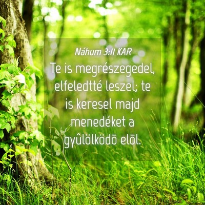 Picture 04 - Náhum 3:11 KAR - Te is megrészegedel, elfeledtté leszel; te is - Bible Verse Picture