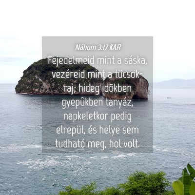 Picture 04 - Náhum 3:17 KAR - Fejedelmeid mint a sáska, vezéreid mint a - Bible Verse Picture