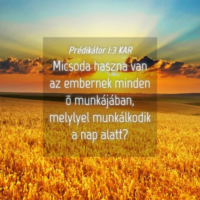 Picture 04 - Prédikátor 1:3 KAR - Micsoda haszna van az embernek minden õ - Bible Verse Picture