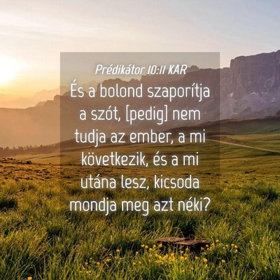 Picture 04 - Prédikátor 10:11 KAR - És a bolond szaporítja a szót, [pedig] nem - Bible Verse Picture