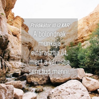 Picture 04 - Prédikátor 10:12 KAR - A bolondnak munkája elfárasztja õt, mert a - Bible Verse Picture