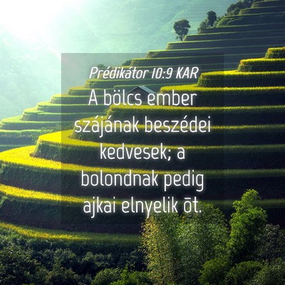 Picture 04 - Prédikátor 10:9 KAR - A bölcs ember szájának beszédei kedvesek; a - Bible Verse Picture