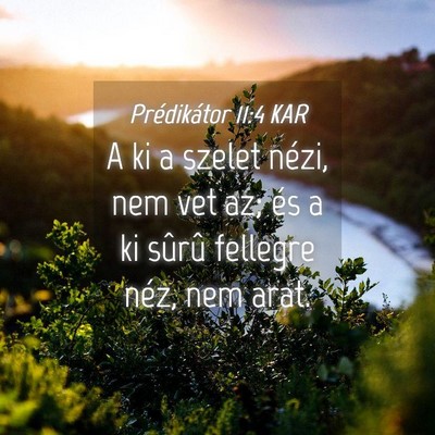 Picture 04 - Prédikátor 11:4 KAR - A ki a szelet nézi, nem vet az; és a ki sûrû - Bible Verse Picture