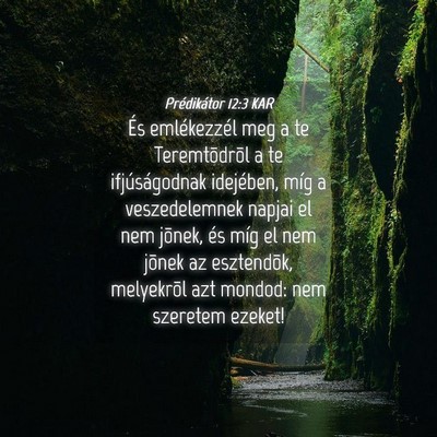 Picture 04 - Prédikátor 12:3 KAR - És emlékezzél meg a te Teremtõdrõl a te - Bible Verse Picture