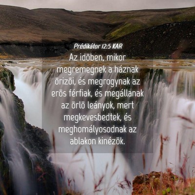 Picture 04 - Prédikátor 12:5 KAR - Az idõben, mikor megremegnek a háznak õrizõi, - Bible Verse Picture