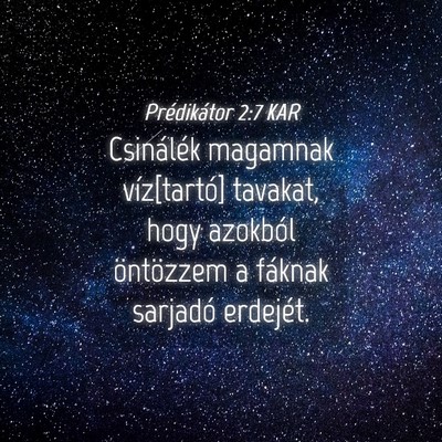 Picture 04 - Prédikátor 2:7 KAR - Csinálék magamnak víz[tartó] tavakat, hogy - Bible Verse Picture