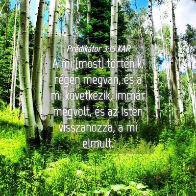Picture 04 - Prédikátor 3:15 KAR - A mi [most] történik, régen megvan, és a mi - Bible Verse Picture