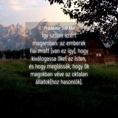 Picture 04 - Prédikátor 3:18 KAR - Így szólék azért magamban: az emberek fiai - Bible Verse Picture