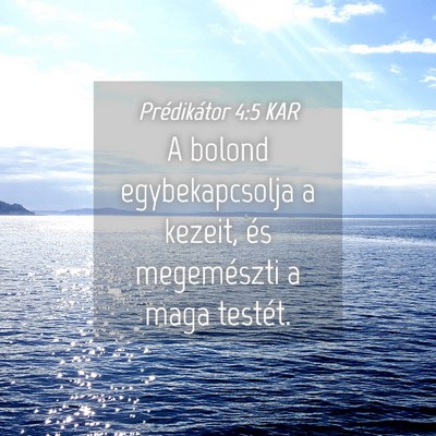 Picture 04 - Prédikátor 4:5 KAR - A bolond egybekapcsolja a kezeit, és megemészti - Bible Verse Picture