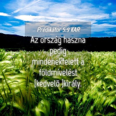 Picture 04 - Prédikátor 5:9 KAR - Az ország haszna pedig mindenekfelett a - Bible Verse Picture