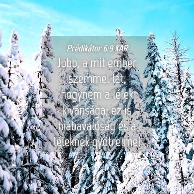 Picture 04 - Prédikátor 6:9 KAR - Jobb, a mit ember szemmel lát, hogynem a lélek - Bible Verse Picture