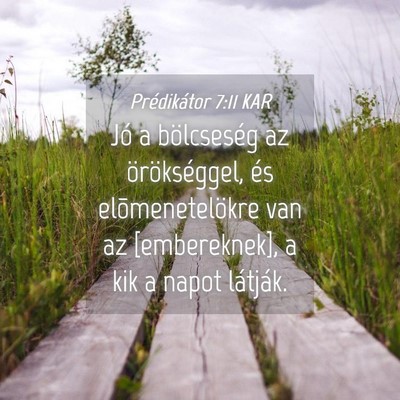 Picture 04 - Prédikátor 7:11 KAR - Jó a bölcseség az örökséggel, és - Bible Verse Picture
