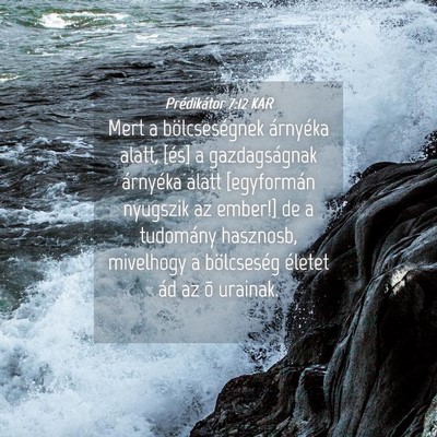 Picture 04 - Prédikátor 7:12 KAR - Mert a bölcseségnek árnyéka alatt, [és] a - Bible Verse Picture