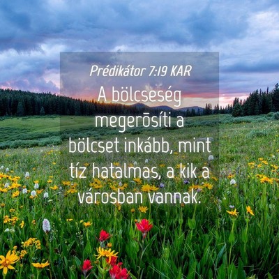 Picture 04 - Prédikátor 7:19 KAR - A bölcseség megerõsíti a bölcset inkább, - Bible Verse Picture