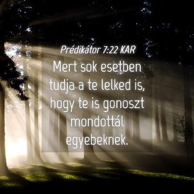 Picture 04 - Prédikátor 7:22 KAR - Mert sok esetben tudja a te lelked is, hogy te is - Bible Verse Picture