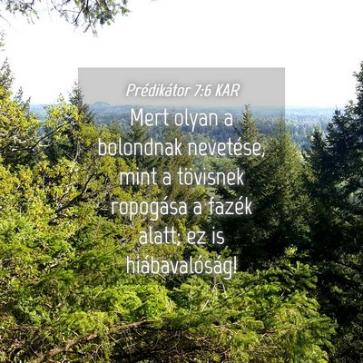 Picture 04 - Prédikátor 7:6 KAR - Mert olyan a bolondnak nevetése, mint a - Bible Verse Picture