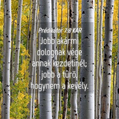 Picture 04 - Prédikátor 7:8 KAR - Jobb akármi dolognak vége annak kezdetinél; - Bible Verse Picture