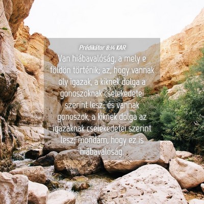 Picture 04 - Prédikátor 8:14 KAR - Van hiábavalóság, a mely e földön - Bible Verse Picture