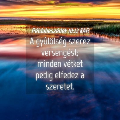 Picture 04 - Példabeszédek 10:12 KAR - A gyûlölség szerez versengést; minden vétket - Bible Verse Picture