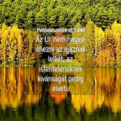 Picture 04 - Példabeszédek 10:3 KAR - Az Úr nem hagyja éhezni az igaznak lelkét; az - Bible Verse Picture