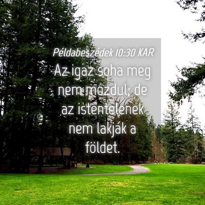 Picture 04 - Példabeszédek 10:30 KAR - Az igaz soha meg nem mozdul; de az istentelenek - Bible Verse Picture
