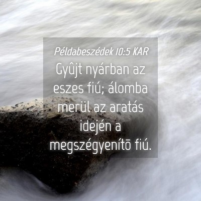 Picture 04 - Példabeszédek 10:5 KAR - Gyûjt nyárban az eszes fiú; álomba merül az - Bible Verse Picture