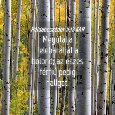 Picture 04 - Példabeszédek 11:12 KAR - Megútálja felebarátját a bolond; az eszes - Bible Verse Picture
