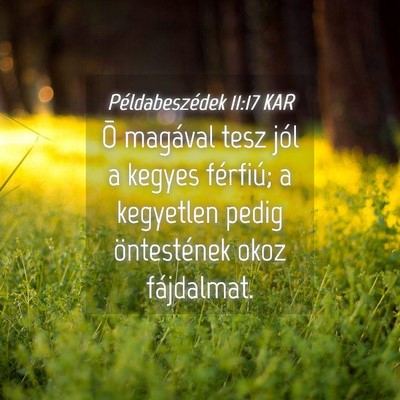 Picture 04 - Példabeszédek 11:17 KAR - Õ magával tesz jól a kegyes férfiú; a - Bible Verse Picture