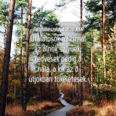 Picture 04 - Példabeszédek 11:20 KAR - Útálatosok az Úrnál az álnok szívûek; - Bible Verse Picture