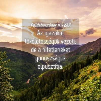 Picture 04 - Példabeszédek 11:3 KAR - Az igazakat tökéletességök vezeti; de a - Bible Verse Picture