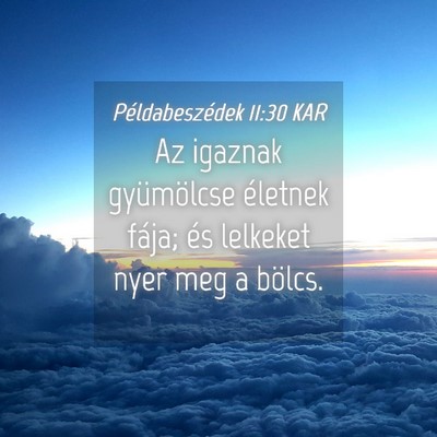 Picture 04 - Példabeszédek 11:30 KAR - Az igaznak gyümölcse életnek fája; és - Bible Verse Picture