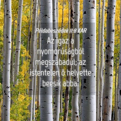 Picture 04 - Példabeszédek 11:8 KAR - Az igaz a nyomorúságból megszabadul; az - Bible Verse Picture